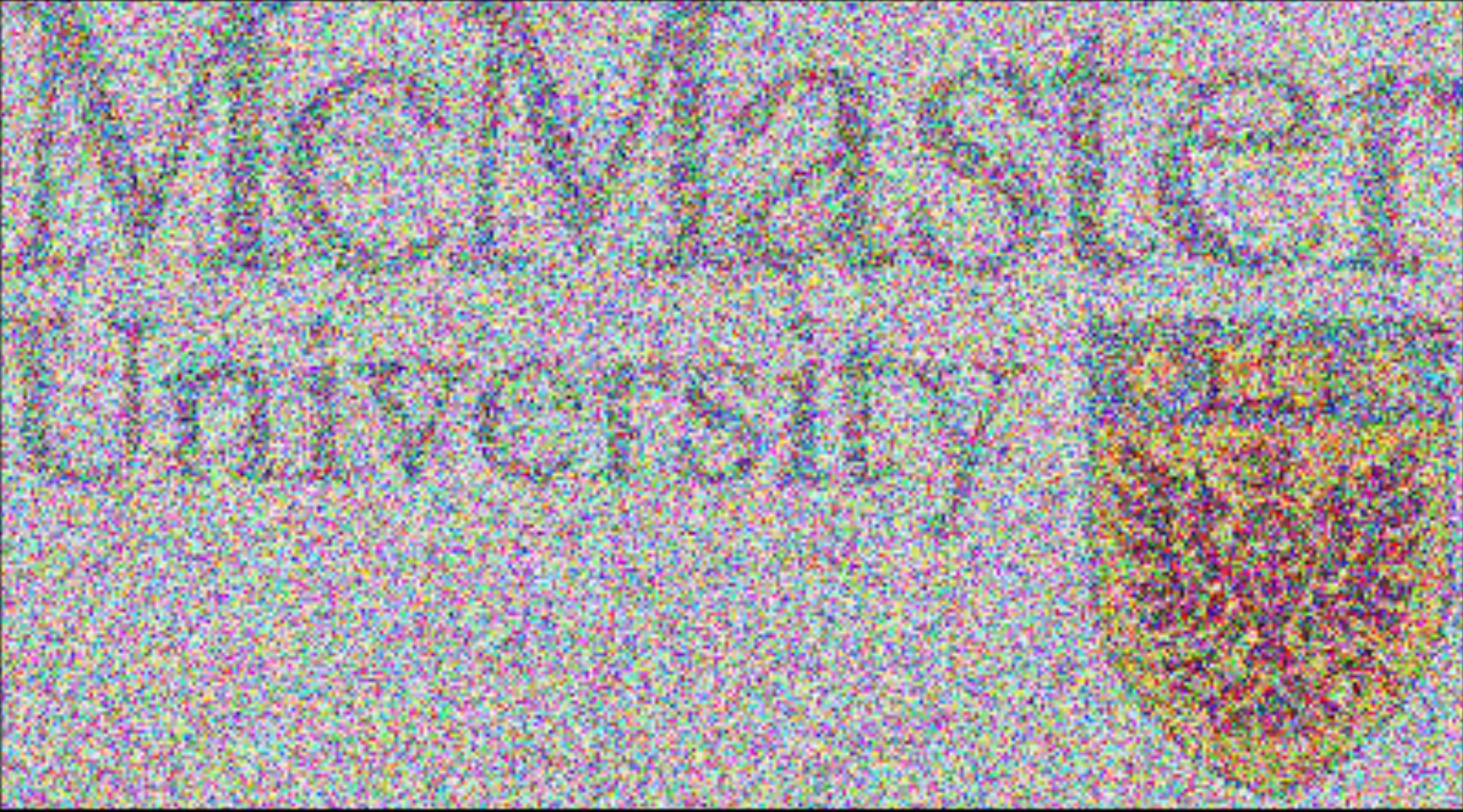 McMaster logo genetic algorithm result